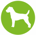 Canvit dog